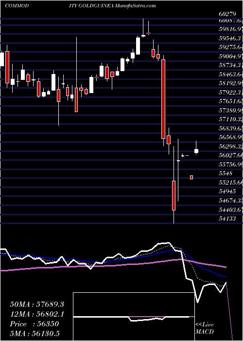  Daily chart GOLD GUINEA (Sona Sikka 8gram)