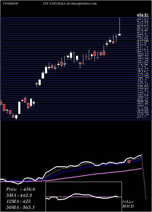  Daily chart NATURAL GAS