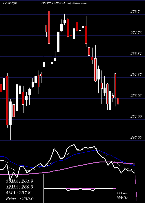  Daily chart ZINC MINI (Jasta Dhatu Mini)