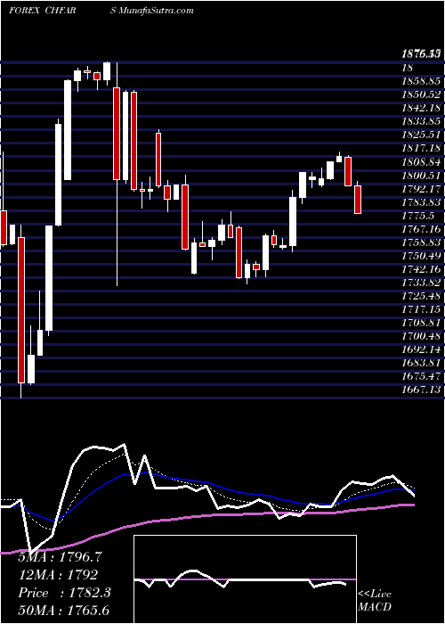  Daily chart SwissFranc