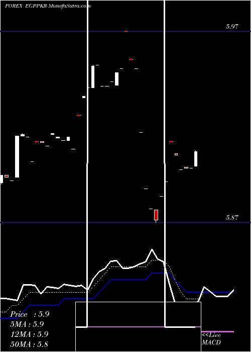  Daily chart EgyptianPound