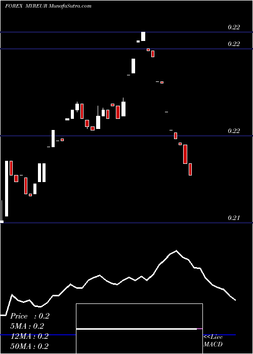  Daily chart Malaysian Ringgit / Euro Dollar