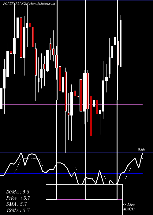  Daily chart PolishZloty
