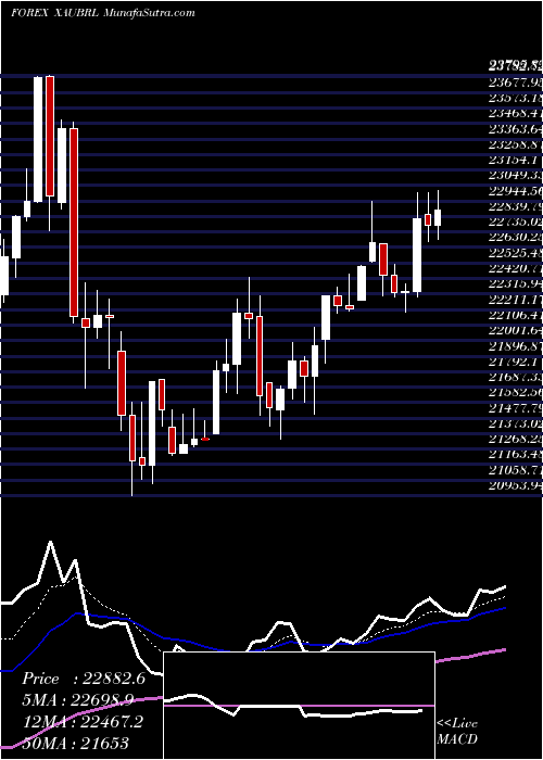  Daily chart GoldBrazilian