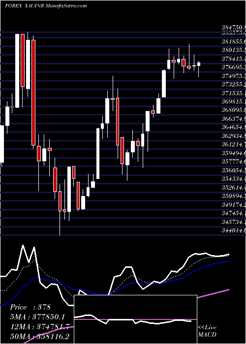  Daily chart GoldIndian