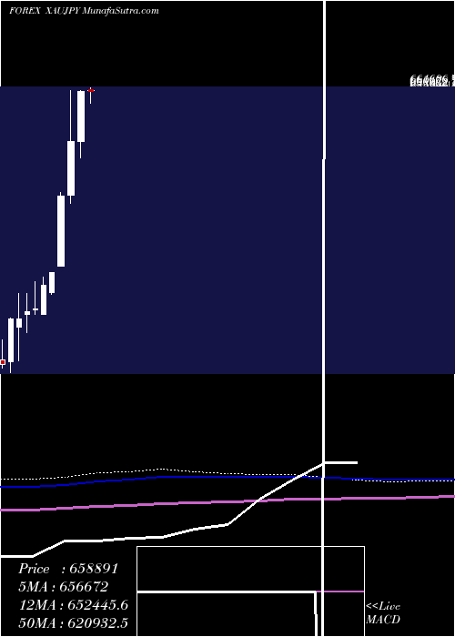  monthly chart GoldJapanese