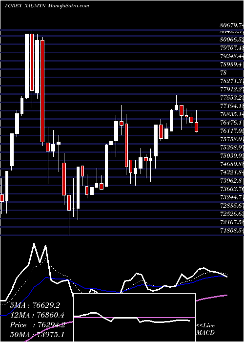  Daily chart GoldMexican