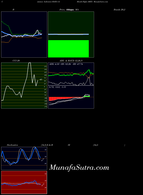 12 Month indicators chart 