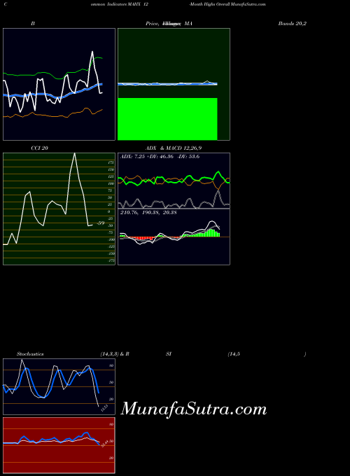 12 Month indicators chart 