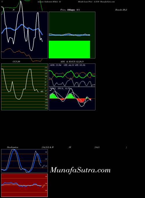 12 Month indicators chart 