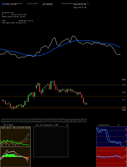 Chart S P (SGSR)  Technical (Analysis) Reports S P [