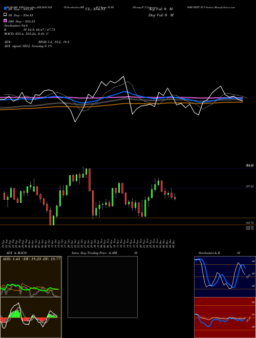 S&P /Citigroup BMI REIT SUS Index SURI Support Resistance charts S&P /Citigroup BMI REIT SUS Index SURI INDICES