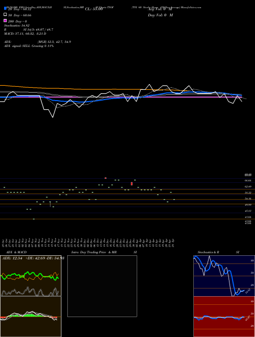 TSX 60 Stocks Above 150-Day Average TSOF Support Resistance charts TSX 60 Stocks Above 150-Day Average TSOF INDICES