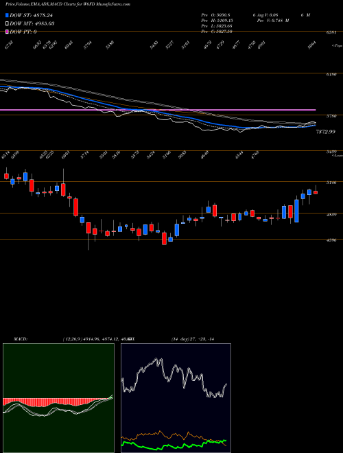 Munafa  (W6FD) stock tips, volume analysis, indicator analysis [intraday, positional] for today and tomorrow
