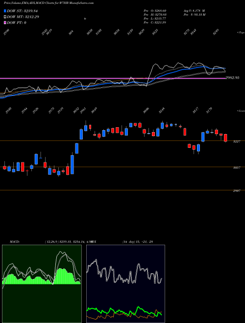 Munafa  (W7HB) stock tips, volume analysis, indicator analysis [intraday, positional] for today and tomorrow