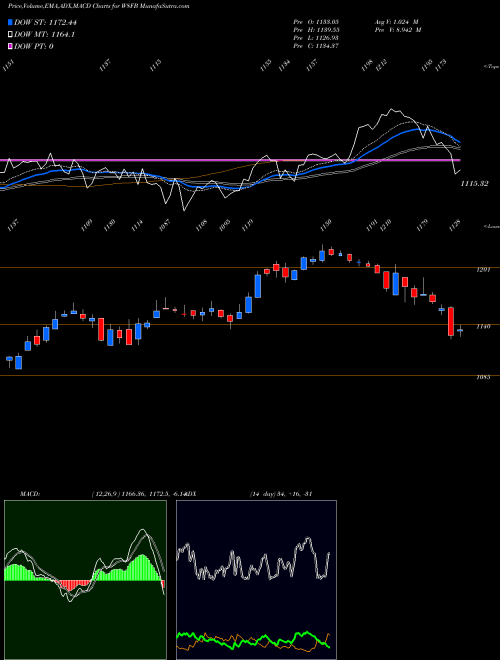 Munafa  (W8FB) stock tips, volume analysis, indicator analysis [intraday, positional] for today and tomorrow