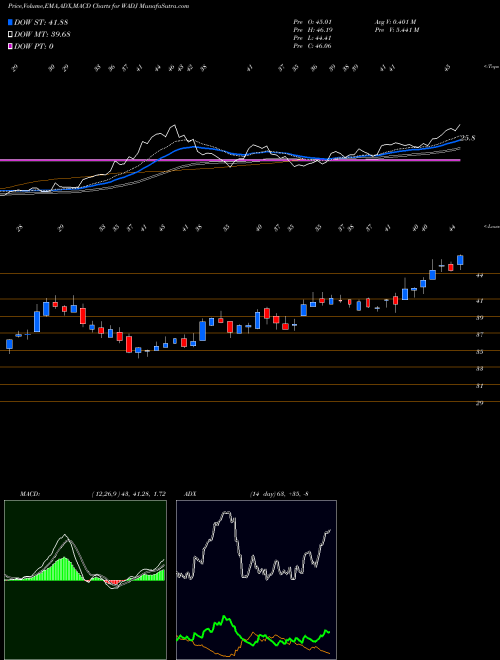Munafa  (WADJ) stock tips, volume analysis, indicator analysis [intraday, positional] for today and tomorrow