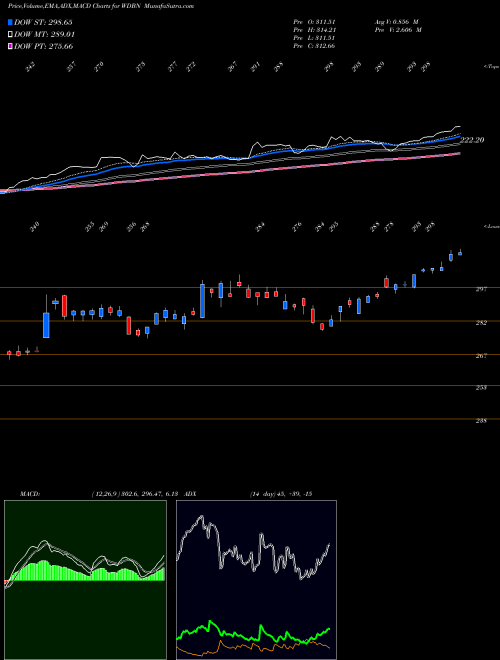 Munafa  (WDBN) stock tips, volume analysis, indicator analysis [intraday, positional] for today and tomorrow
