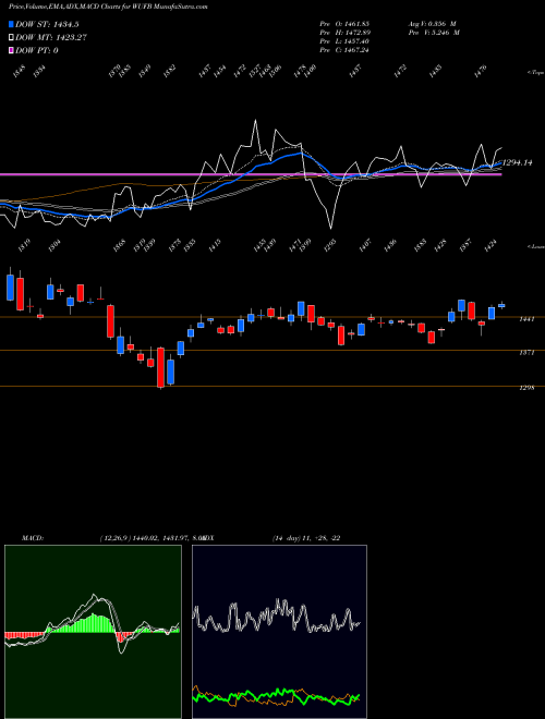 Munafa  (WUFB) stock tips, volume analysis, indicator analysis [intraday, positional] for today and tomorrow