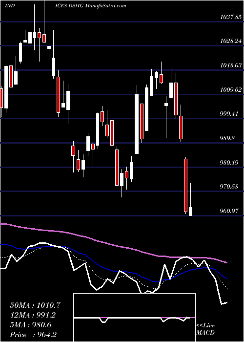  Daily chart DJ US HLDGOODS