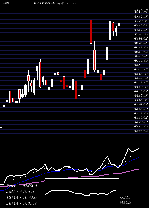  Daily chart DJ US INTERNET