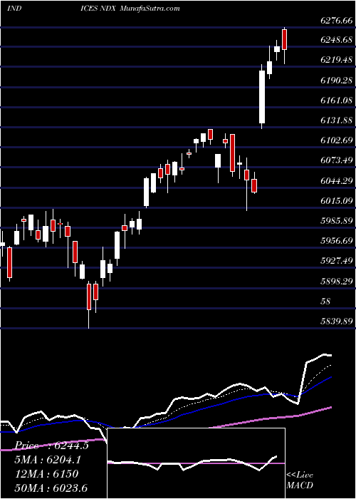  Daily chart NASDAQ 100 INDEX