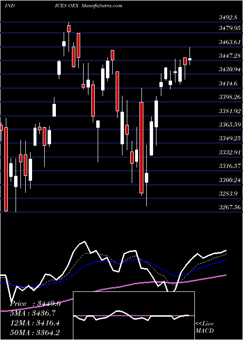  Daily chart S&P 100 Index