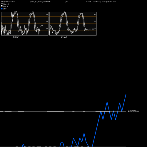 Stochastics Fast,Slow,Full charts 12-Month Lows ETFS MALE share INDICES Stock Exchange 