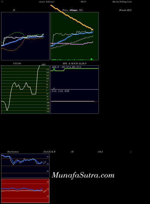 Bluecity Holdings indicators chart 
