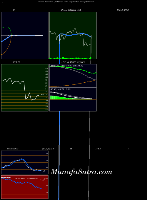 China Auto indicators chart 