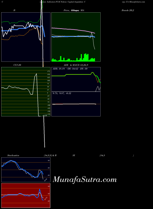 Falcon Capital indicators chart 
