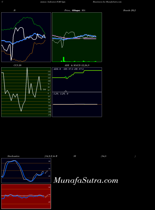 Igm Biosciences indicators chart 