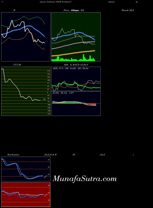 Northeast Community indicators chart 