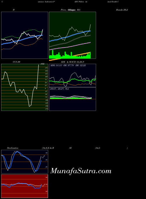 Phibro Animal indicators chart 