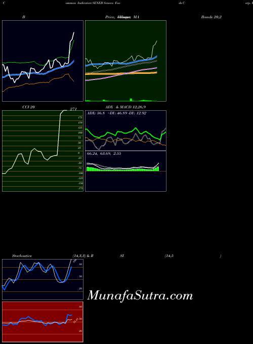 NASDAQ Seneca Foods Corp. SENEB All indicator, Seneca Foods Corp. SENEB indicators All technical analysis, Seneca Foods Corp. SENEB indicators All free charts, Seneca Foods Corp. SENEB indicators All historical values NASDAQ