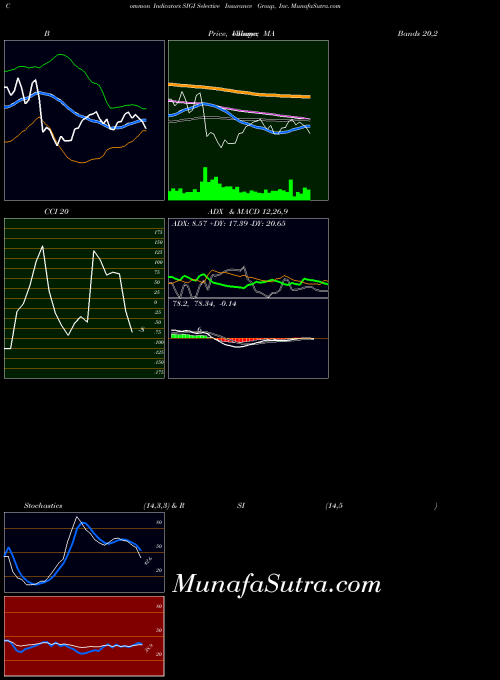 Selective Insurance indicators chart 