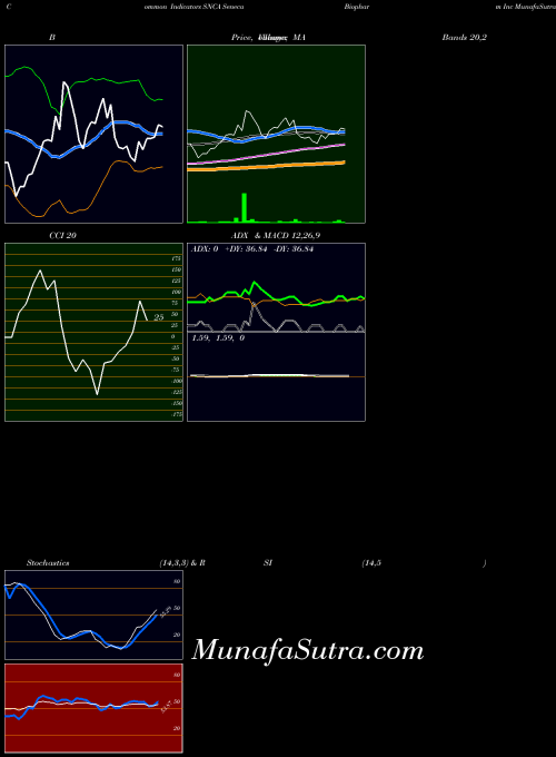 NASDAQ Seneca Biopharm Inc SNCA All indicator, Seneca Biopharm Inc SNCA indicators All technical analysis, Seneca Biopharm Inc SNCA indicators All free charts, Seneca Biopharm Inc SNCA indicators All historical values NASDAQ