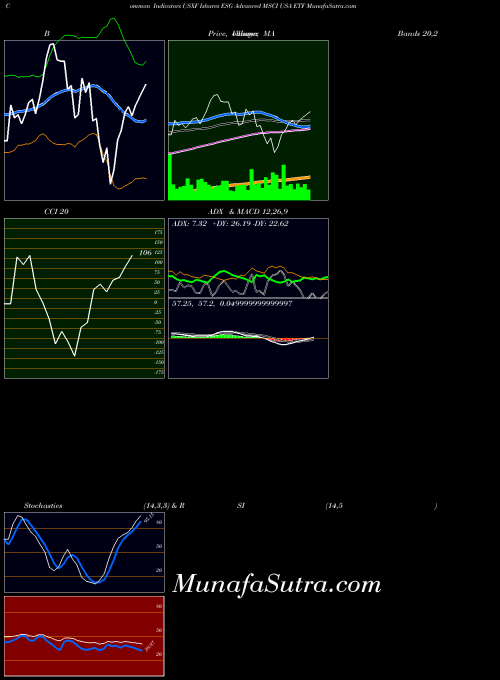 Ishares Esg indicators chart 