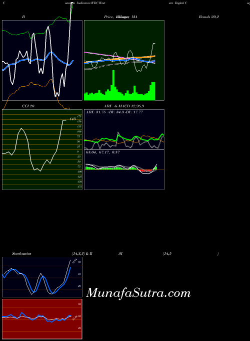 Western Digital indicators chart 