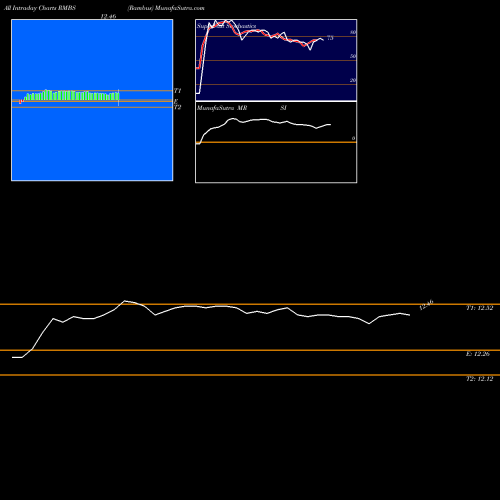 Rambus Inc intraday chart RMBS intra day chart