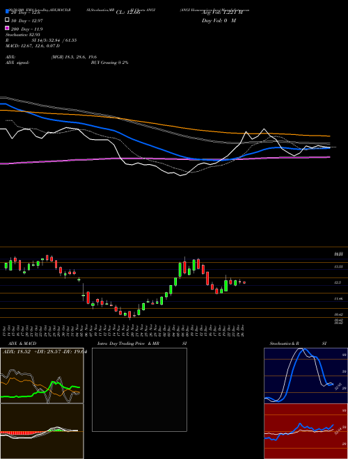 ANGI Homeservices Inc. ANGI Support Resistance charts ANGI Homeservices Inc. ANGI NASDAQ