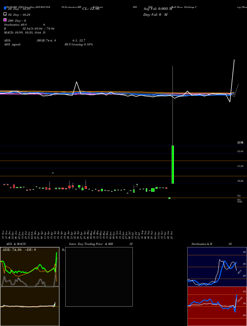 Bull Horn Holdings Corp BHSEU Support Resistance charts Bull Horn Holdings Corp BHSEU NASDAQ