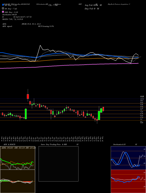 Big Rock Partners Acquisition Corp. BRPAW Support Resistance charts Big Rock Partners Acquisition Corp. BRPAW NASDAQ