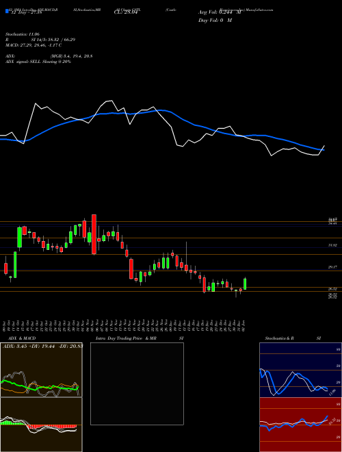 Chart Castle Biosciences (CSTL)  Technical (Analysis) Reports Castle Biosciences [