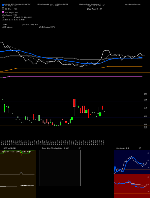 Platinum Eagle Acquisition Corp. EAGLW Support Resistance charts Platinum Eagle Acquisition Corp. EAGLW NASDAQ