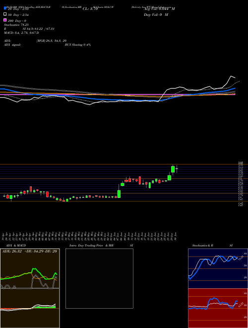 Holicity Inc WT HOLUW Support Resistance charts Holicity Inc WT HOLUW NASDAQ