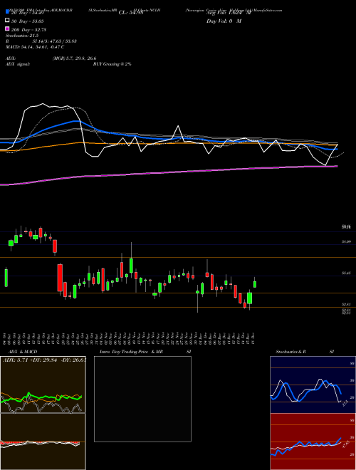 Norwegian Cruise Line Holdings Ltd. NCLH Support Resistance charts Norwegian Cruise Line Holdings Ltd. NCLH NASDAQ