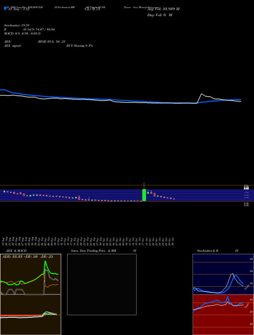 Chart Nuzee Inc (NUZE)  Technical (Analysis) Reports Nuzee Inc [