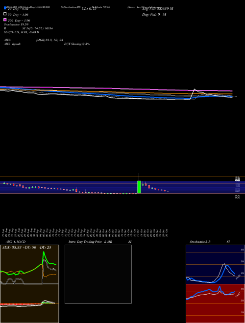 Nuzee Inc NUZE Support Resistance charts Nuzee Inc NUZE NASDAQ