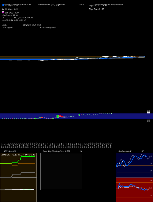 Pacific Spc Acq Wrnt PAACW Support Resistance charts Pacific Spc Acq Wrnt PAACW NASDAQ
